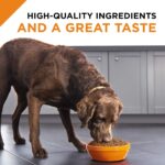 Purina-Pro-Plan-SAVOR6.jpg